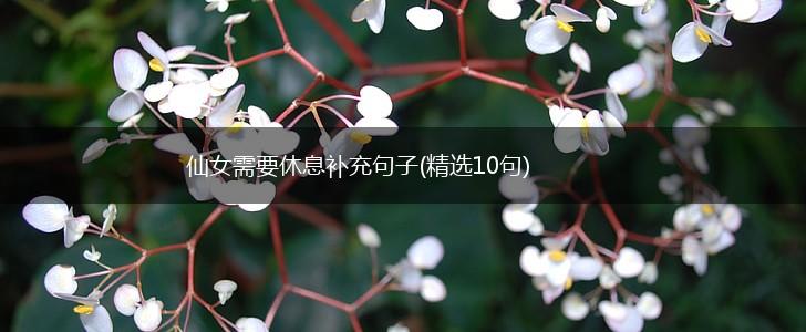 仙女需要休息补充句子(精选10句),第1张