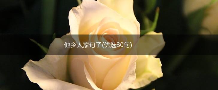 他乡人家句子(优选30句),第1张