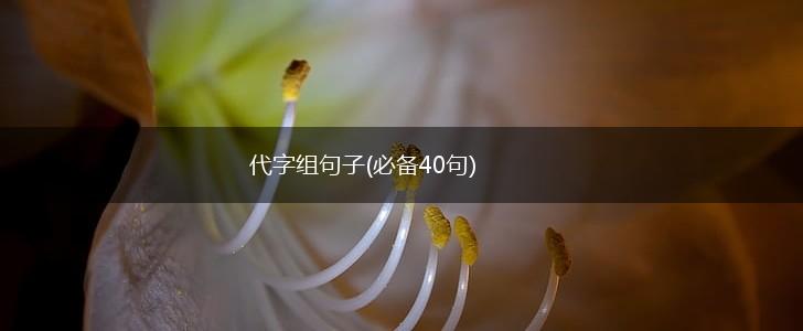 代字组句子(必备40句),第1张