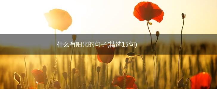 什么有阳光的句子(精选15句),第1张