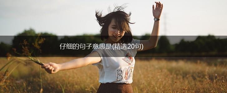 仔细的句子意思是(精选20句),第1张