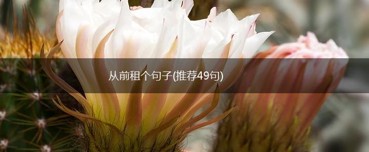 从前租个句子(推荐49句),第1张