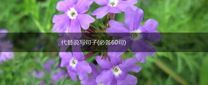 代替说写句子(必备60句),第1张