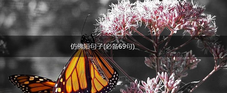 仿佛短句子(必备69句),第1张