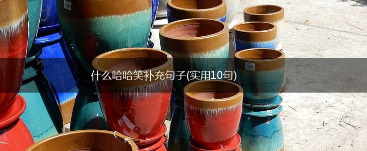 什么哈哈笑补充句子(实用10句),第1张
