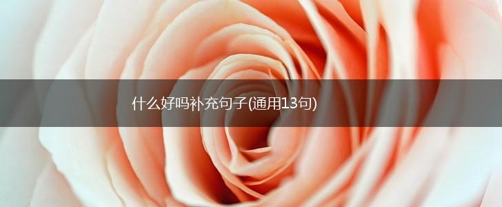什么好吗补充句子(通用13句),第1张