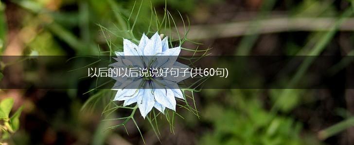 以后的以后说说好句子(共60句),第1张