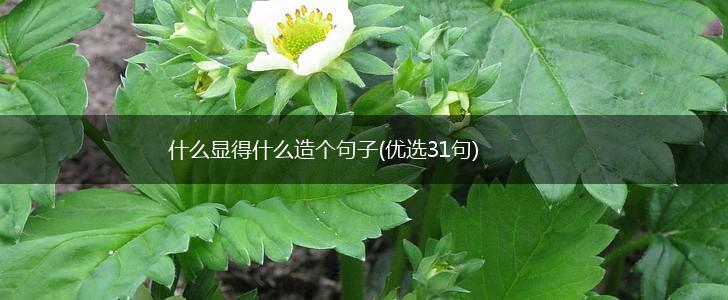 什么显得什么造个句子(优选31句),第1张