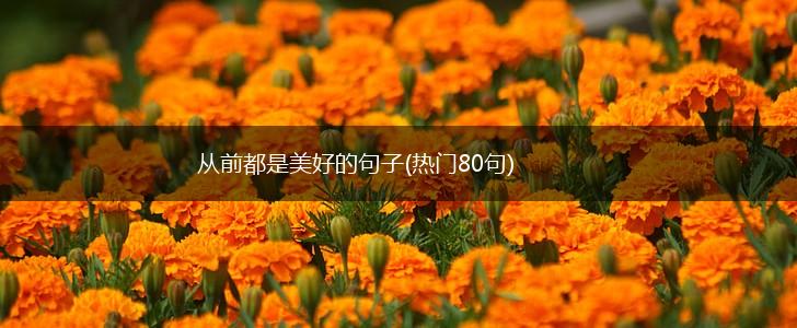 从前都是美好的句子(热门80句),第1张