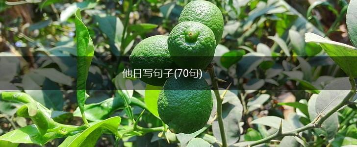 他日写句子(70句),第1张