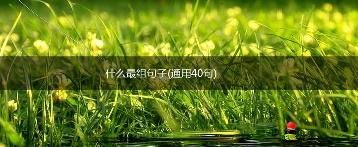 什么最组句子(通用40句),第1张