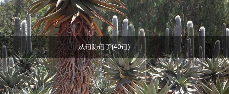 从句防句子(40句),第1张