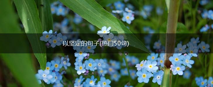 以坚定的句子(热门50句),第1张
