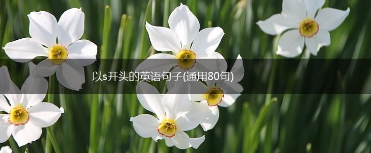 以s开头的英语句子(通用80句),第1张