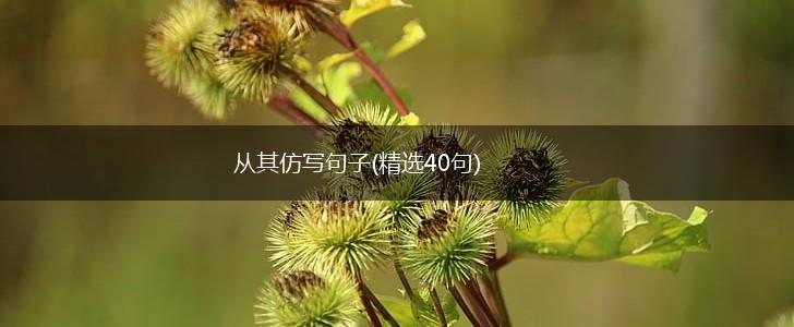 从其仿写句子(精选40句),第1张