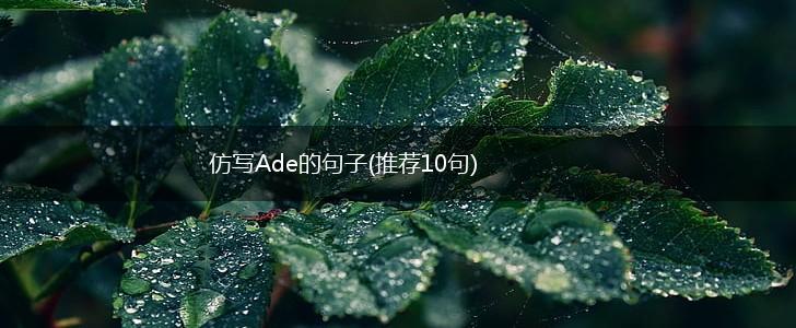 仿写Ade的句子(推荐10句),第1张