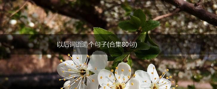以后词语造个句子(合集80句),第1张
