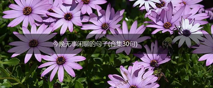 今晚无事闲聊的句子(合集30句),第1张
