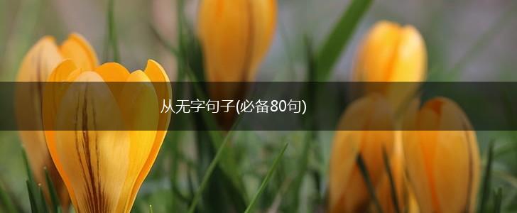 从无字句子(必备80句),第1张