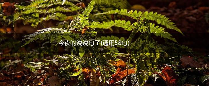 今夜的说说句子(通用58句),第1张