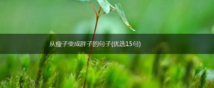 从瘦子变成胖子的句子(优选15句),第1张