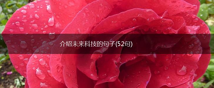 介绍未来科技的句子(52句),第1张