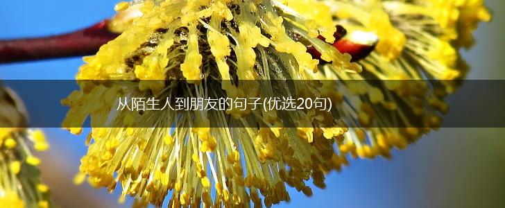 从陌生人到朋友的句子(优选20句),第1张