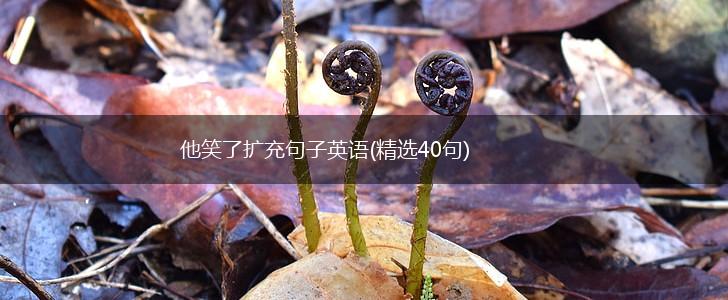 他笑了扩充句子英语(精选40句),第1张