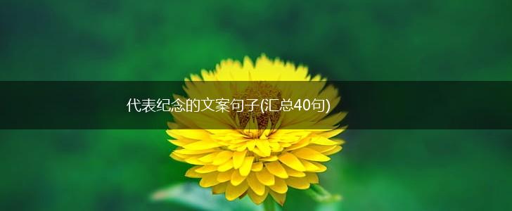 代表纪念的文案句子(汇总40句),第1张