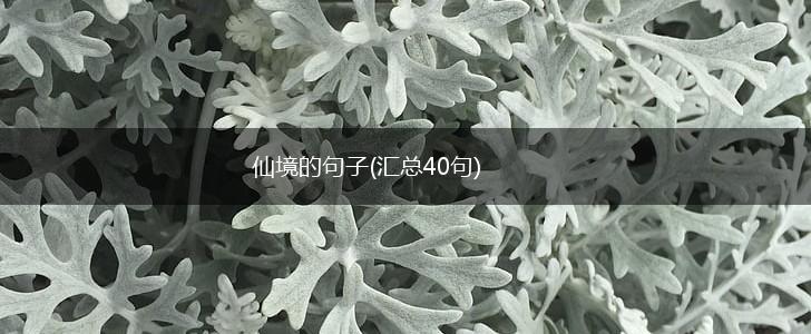仙境的句子(汇总40句),第1张