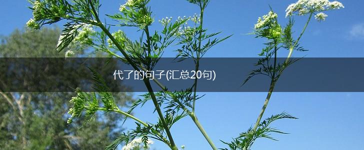 代了的句子(汇总20句),第1张