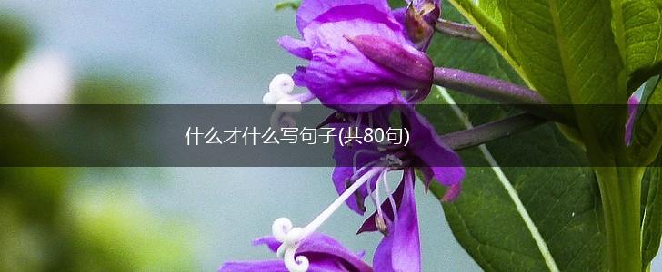 什么才什么写句子(共80句),第1张