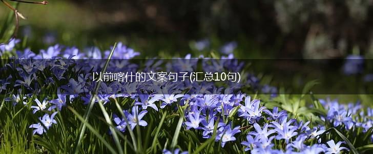 以前喀什的文案句子(汇总10句),第1张