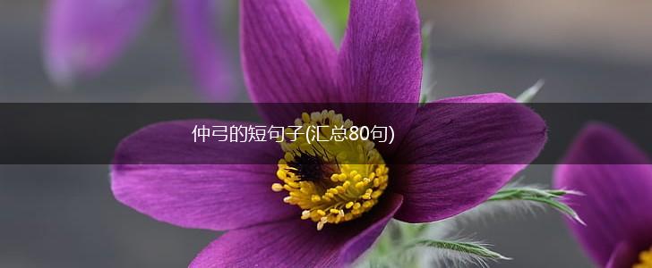 仲弓的短句子(汇总80句),第1张