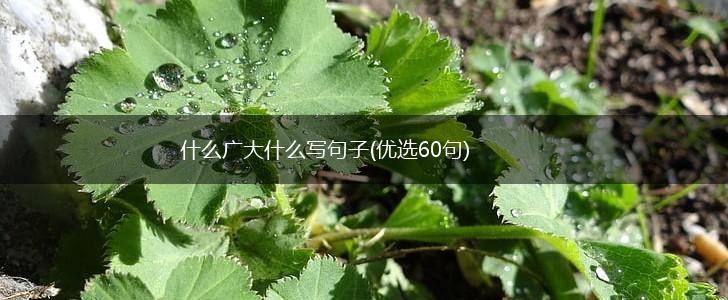 什么广大什么写句子(优选60句),第1张