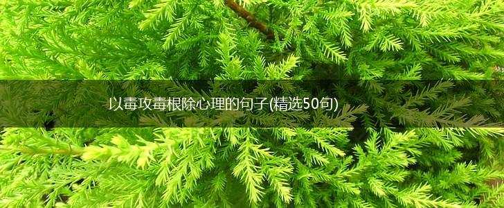 以毒攻毒根除心理的句子(精选50句),第1张