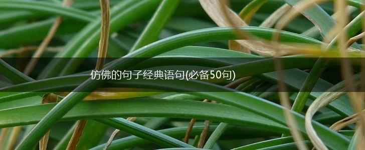 仿佛的句子经典语句(必备50句),第1张