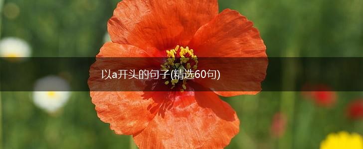 以a开头的句子(精选60句),第1张