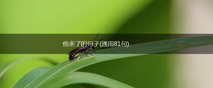 他来了的句子(通用81句),第1张