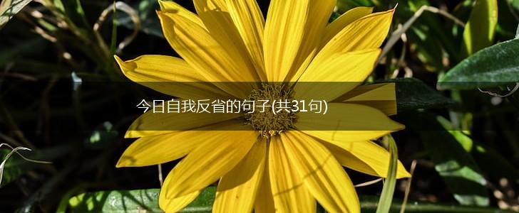 今日自我反省的句子(共31句),第1张