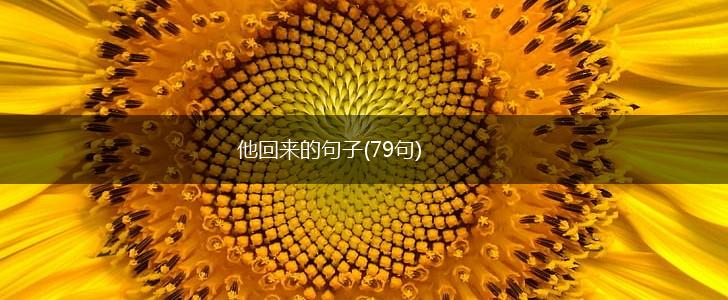 他回来的句子(79句),第1张