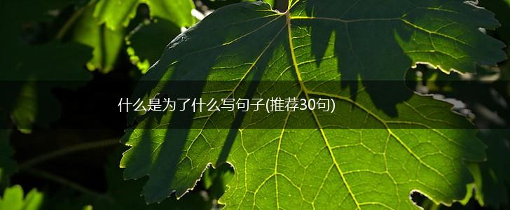 什么是为了什么写句子(推荐30句),第1张
