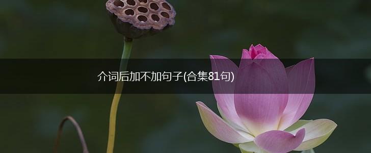 介词后加不加句子(合集81句),第1张