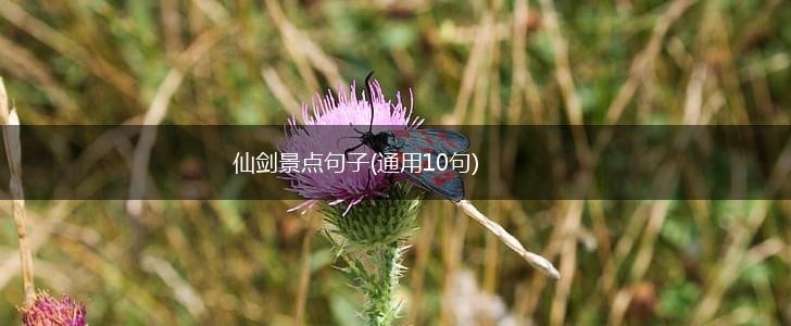 仙剑景点句子(通用10句),第1张