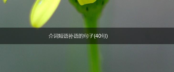 介词短语补语的句子(40句),第1张