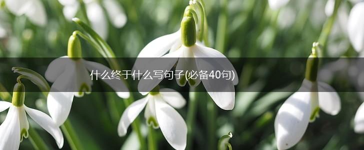 什么终于什么写句子(必备40句),第1张