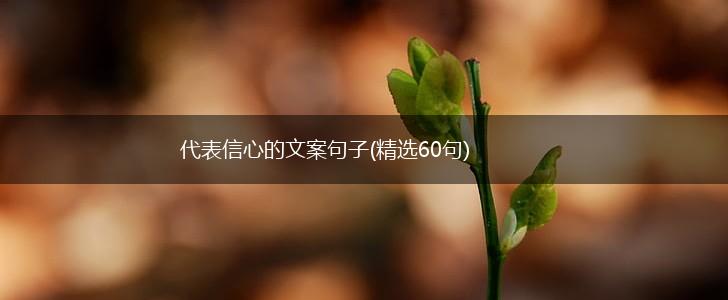 代表信心的文案句子(精选60句),第1张