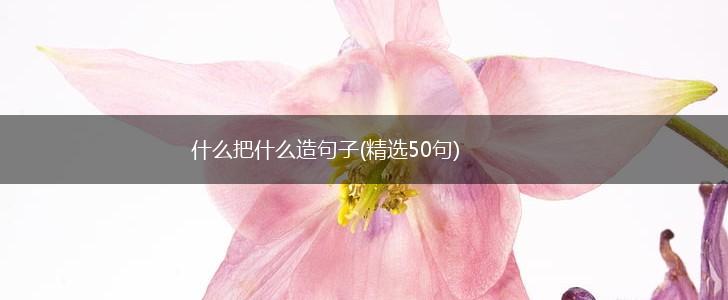 什么把什么造句子(精选50句),第1张