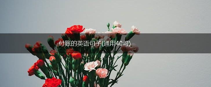 付账的英语句子(通用40句),第1张