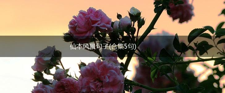 仙本风景句子(合集5句),第1张